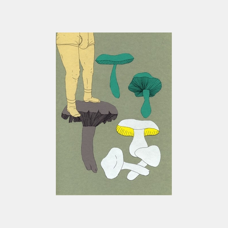 isabelle boinot - champignons etc... n°8 isabelle boinot - champignons etc... n°8