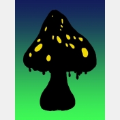 morgan navarro - black mushroom